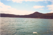 574: Red Island. "The Wild Cove". (2002) [courtesy of Heather Walsh]